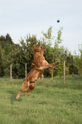 002e4c7e0db9a7b9af49749c42978607_164x246