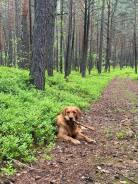 00917ea2b444502a5db3307032d1c6a3_138x184_fill