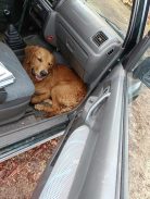 00b679ebc3491391b671791b44de83dc_138x183