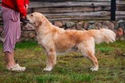 00ca510f8f1407ed592a9eab4b841e4a_245