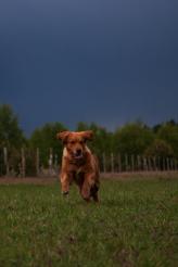 00dcce15dd0af246e0bf9342df084c5b_164x246_fill