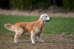 00f7de8bc4bdbbdd36f6dfa3ce0184ff_246