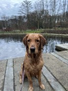 00fd4698640e89ed2e40940a02b24c07_138x184_fill