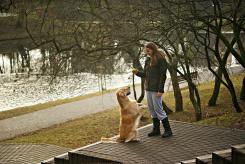 010d5dc5722de11d95fb0c1470693dd1_245