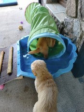 0137c8904d0b5cf7fa0d3f41e2ddadf3_174x232_fill