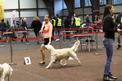 015ae648c35d499d195afeed3431dfc7_246x164_fill