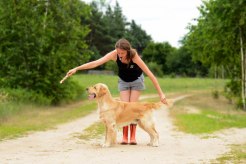 01f37e7f9c333ede050d0ca8514ac5e0_246