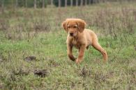 020f88abe7c4a93be5363962516f633c_195x130_fill