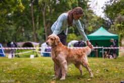 02168a7a2cfa0545f08d8f741c4e9519_246