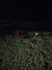 02277bbb1d9afa974e46b25704d45f67_174x232_fill