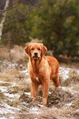 024babbdac2895473d951a56155de78f_164x245