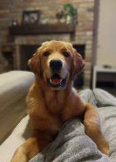 02669cf7b51a0ed3b6ec465360d6b522_170x237