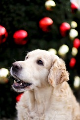 02e2ef7d872e4ae0f019318fadf85905_164x246