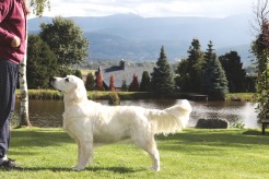 02fb59c8161c25da2675916d9abf0cda_246