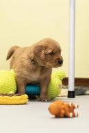 036698923a732ca4504bcdfb84a22e4b_130x195_fill