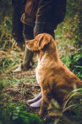 03ba45c95bddad154e5647732eac53c4_164x246