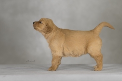 03d8a1cd72c5d185bf60f711eaa695d2_246