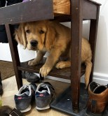 03e0a68bb2c9c5a4658b890c7dc99645_154x166