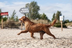 03edde9dd6bdddebe35ff7461ef9994e_246