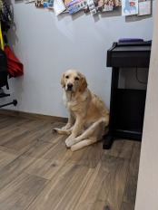 04228a54481cfb94c271bed6ad97546a_174x232_fill