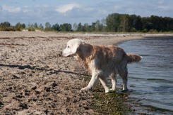 0432ccdbfa3a4aee21fefaec397e34ec_245