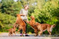 049be4fc462cf41313ae253c4e2ee43e_195