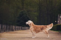 051e00faa1ad394bce70ca1f6069cbfa_246