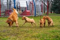 05201a93a363480c6de8b72f89766d57_195x130_fill