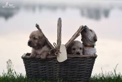 0548e8c93ce23e24b976582e13540b45_245