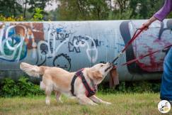 05587f03881fe7b571b3a33932d269da_243