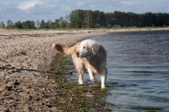 0583e80c05b161b9afd66690cabaa039_246