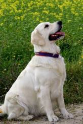 05b248131ff303d93e5fa3a72b7fde92_164x246