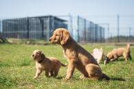 05c374fbb9cc32516e3f8b26118e1531_195x130_fill