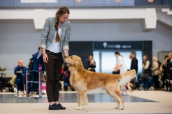 05c3f15b84e9c93781b2e37211ce2c19_246