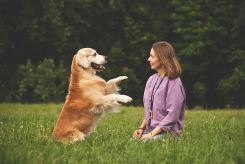 060d7c827c32d36faa7910b7d18d514e_245