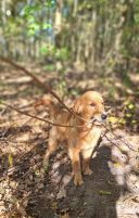 063534a091506564b4614757d344f087_128x201