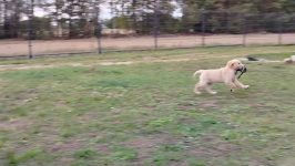 065e6132d8a86820e5344bc99e97fa0b_266