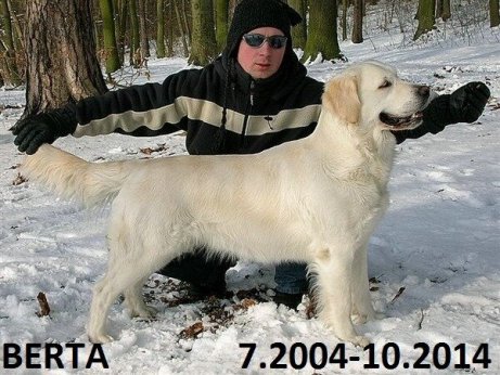 068574fa6fbf4354e0f3e0cfe8feb4ff_461