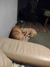 06944500b6bbbbb250dbcbbceb2d67c1_174x232_fill