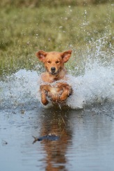 06a5110bfc5759cd68faef36c0464c8f_164x245