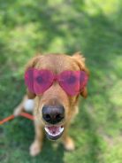 06aac4d2d9e3e5bb3062cf731d0ae713_138x184_fill