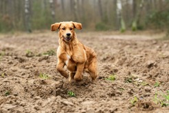 06b4da89500069eda9a8c924bc840402_246