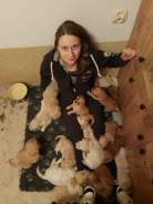 06bb272b456782082a3ae32805d797d6_138x184_fill