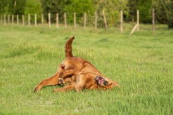 06d1e9a11f89586d03a4d2d34820fe43_246