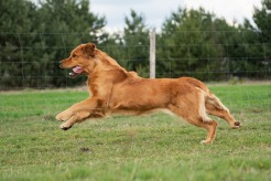 06e241e2baa44821176e8d23b5e16bc3_246