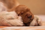 06e3afd1657ad912c9b696762236045a_195