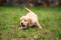 06f63d50ce1e4d76912a5cda71300f06_195