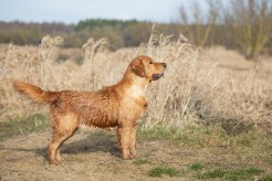 071a227744740be3ad608abce162590e_246