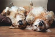 072609717cdef1e0d44e8abf07d4f571_194