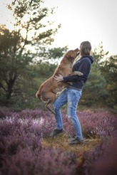 07864f38cc597f82f712477a54a7678c_164x246